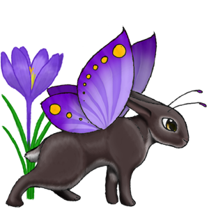 Croci