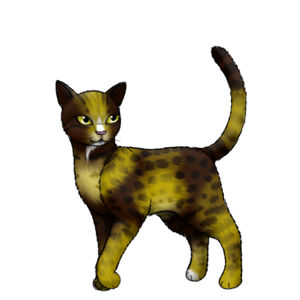 Cheetara