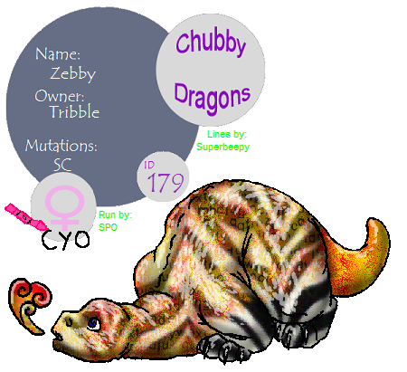 Zebby