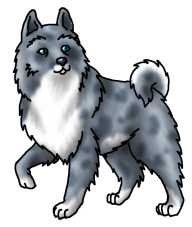 Wolflet3