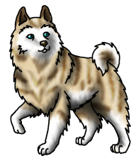 Wolflet4